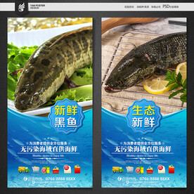 黑鱼