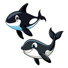 矢量动物海洋生物虎鲸