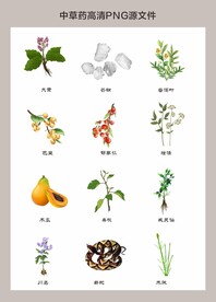 中药材高清png图片
