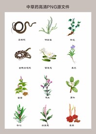 中药材高清png图片