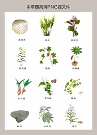 中药材高清png图片