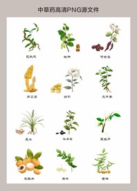 中药材高清png图片