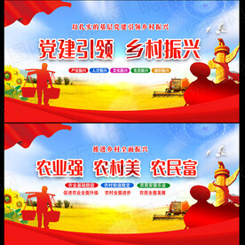 党建引领乡村振兴展板