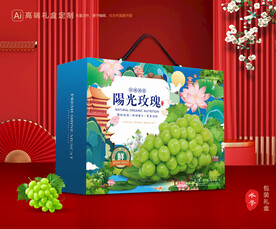 阳光玫瑰包装 葡萄礼盒