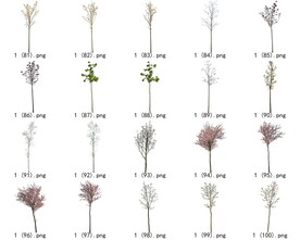 免扣高清景观树开花乔木素材