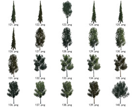 免扣高清景观树国外植物素材
