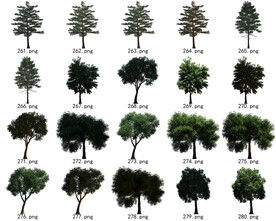 免扣高清景观树国外植物素材