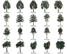 免扣高清景观树国外植物素材