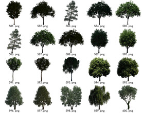 免扣高清园林国外植物素材