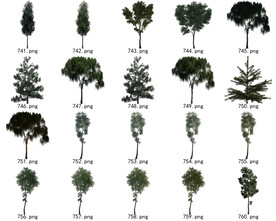 免扣高清景观树国外植物素材