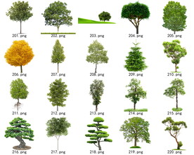 免扣高清景观树常绿乔木素材