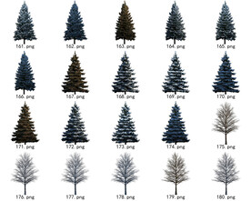 免扣高清景观树常用乔木贴图素材
