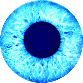  眼睛 眼镜 圆形