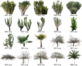 免扣高清景观树常用乔木贴图素材