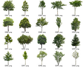 免扣高清景观树常用乔木贴图素材