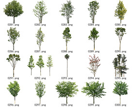 免扣高清景观树常用乔木贴图素材