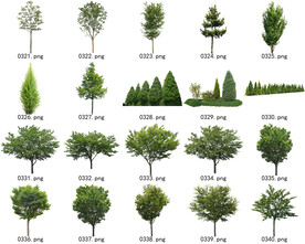 免扣高清景观树常用乔木贴图素材