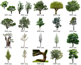 免扣高清景观树常用乔木贴图素材