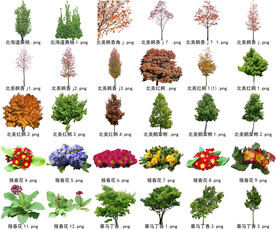 高清树木花卉绿植免抠带名贴图