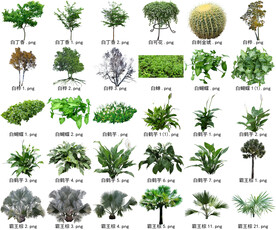 高清树木花卉绿植免抠贴图素材 