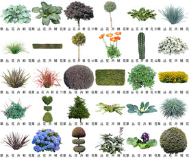 高清树木花卉绿植免抠贴图素材 