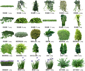 高清树木花卉绿植免抠贴图素材 