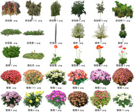 高清树木花卉绿植免抠贴图素材 