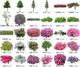高清树木花卉绿植免抠贴图素材 