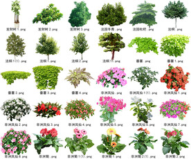 高清树木花卉绿植免抠贴图素材 