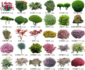 高清树木花卉绿植免抠贴图素材 