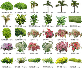 高清树木花卉绿植免抠贴图素材 