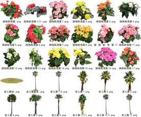 高清树木花卉绿植免抠贴图素材 