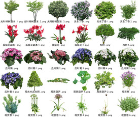 高清树木花卉绿植免抠贴图素材 