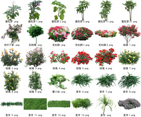 高清树木花卉绿植免抠贴图素材 