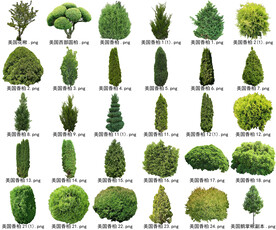 高清树木花卉绿植免抠贴图素材 