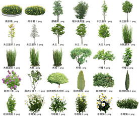 高清树木花卉绿植免抠贴图素材 