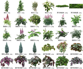 高清树木花卉绿植免抠贴图素材 