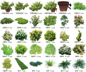 高清树木花卉绿植免抠贴图素材 