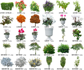 高清树木花卉绿植免抠贴图素材 