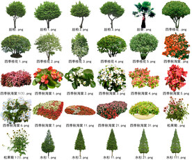高清树木花卉绿植免抠贴图素材 