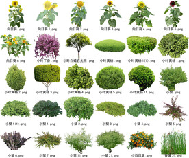 高清树木花卉绿植免抠贴图素材 