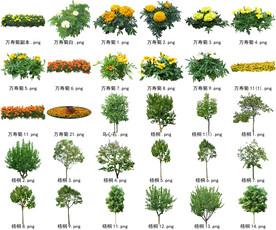 高清树木花卉绿植免抠贴图素材 