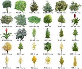 高清树木花卉绿植免抠贴图素材 