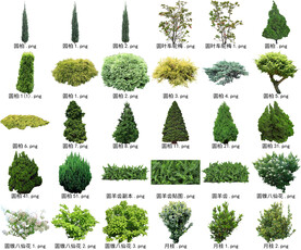 高清树木花卉绿植免抠贴图素材 