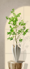 绿植装饰画