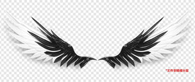 酷炫黑白动漫卡通羽毛翅膀