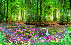 幽静树林小林荫路自然美景背景墙