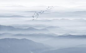 新中式远山装饰画