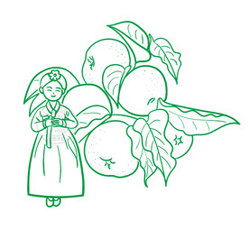 原创手绘线条延边苹果梨插画水果