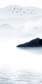 最新 中式高雅玄关 TiF分层